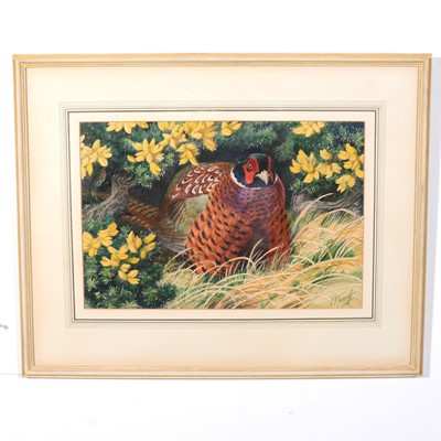 Lot 129 - Charles Frederick Tunnicliffe, Cock in The Gorse