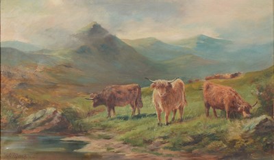 Lot 311 - J MacPherson, Highland cattle