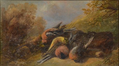 Lot 263 - A Hunt, Still life of dead finches