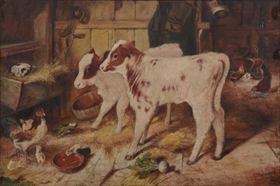 Lot 238 - J Main, Calves and chickens in a barn