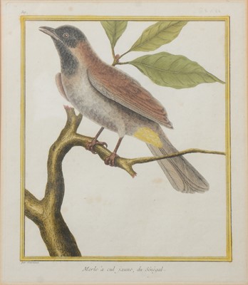 Lot 295 - Emily Weatherhead, Birds on branches, a pair and others