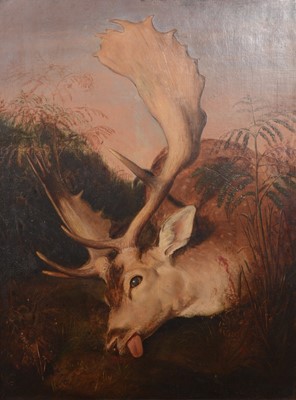 Lot 278 - After Landseer, Stag, oil on canvas, 59x44cm.