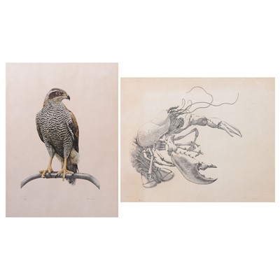 Lot 270 - Rory McEwen, Lobster, etching; and Cordey...