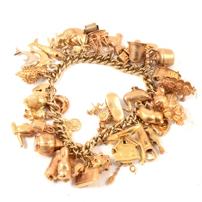Lot 175 - A 9 carat yellow gold charm bracelet and charms.
