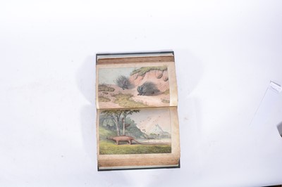 Lot 54 - Mrs Dalgairns, The Practice of Cookery & The Instructive Picture Book