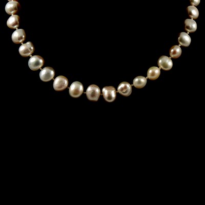 Lot 273 - A freshwater pearl choker necklace, oval shape 7x10mm.