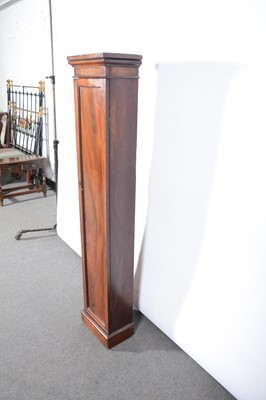 Lot 111 - A narrow mahogany cabinet