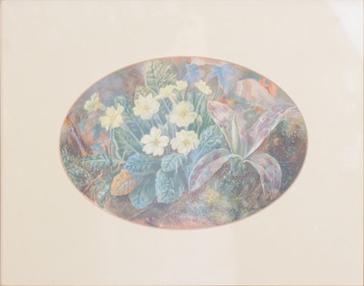 Lot 321 - ESK, Still life of flowers on a mossy bank