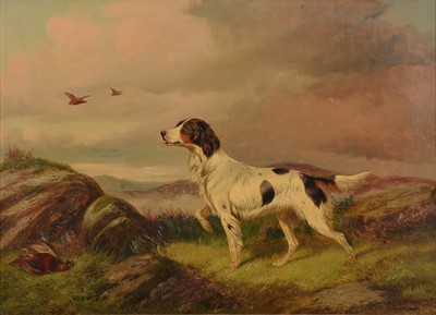 Lot 252 - Colin Graeme Roe - Pointer in a landscape