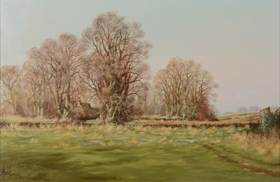 Lot 295 - Tony Malton, Northamptonshire landscape