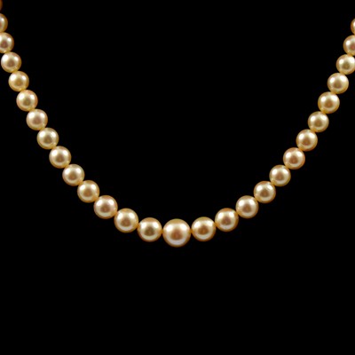 Lot 239 - A cultured pearl necklace.