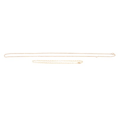 Lot 219 - A 9 carat yellow gold chain necklace and one other.