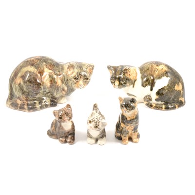 Lot 53 - Five Winstanley Pottery cat models