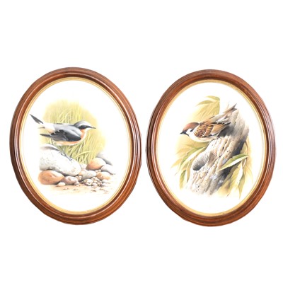 Lot 259 - Terence James Bond, Wheatear and Tree Sparrow