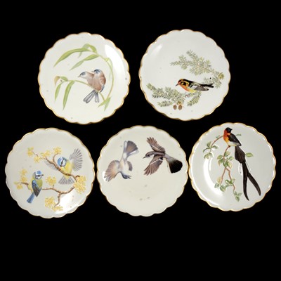 Lot 9 - Five Royal Worcester dessert plates, 'The Birds of Dorothy Doughty' series