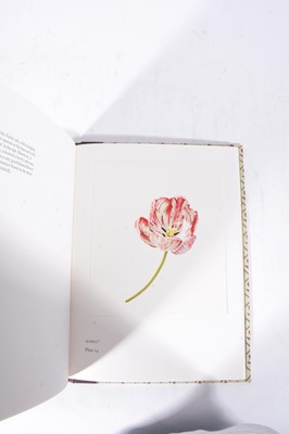 Lot 108 - William Blunt, Tulips & Tulipomania