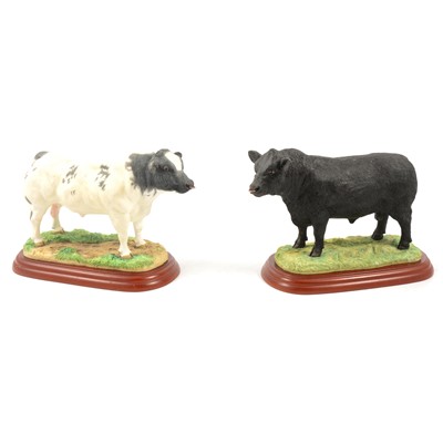 Lot 1 - Border Fine Arts - ten individual models of cattle, boxed.
