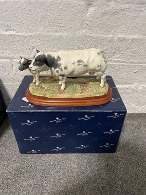 Lot 1 - Border Fine Arts - ten individual models of cattle, boxed.