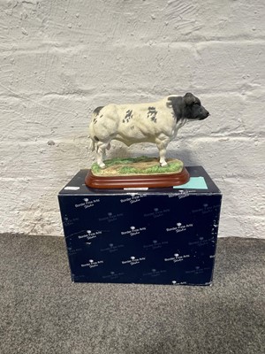 Lot 1 - Border Fine Arts - ten individual models of cattle, boxed.