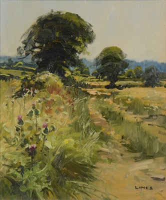 Lot 214 - John Lines, a country lane with flowers, and another work.