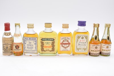 Lot 214 - Forty eight assorted miniature bottlings of French Brandy and Cognac