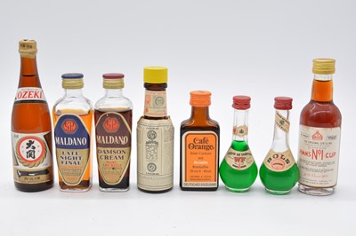 Lot 216 - Collection of assorted miniature spirits, liqueurs, and other alcohol