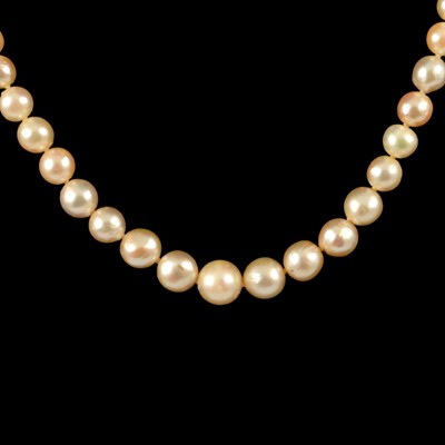 Lot 328 - A cultured pearl necklace.