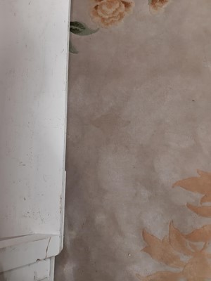 Lot 492 - Large Chinese sculptured wool carpet