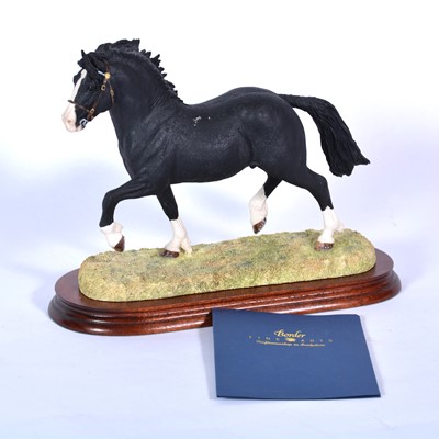 Lot 26 - Border Fine Arts model, Welsh Cob Stallion - section D, limited edition 632/1250
