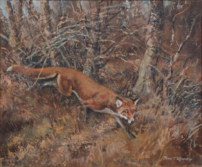 Lot 179 - John Theodore Kenney, Fox in woodland