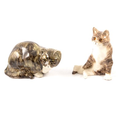 Lot 39 - Five Winstanley tabby cats.