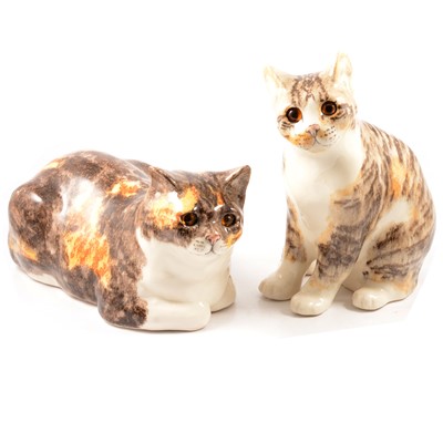 Lot 25 - Three Winstanley cats and one kitten.