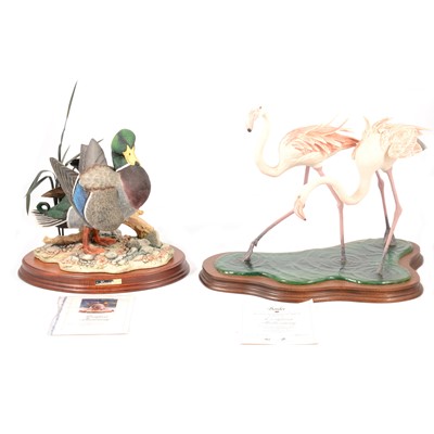 Lot 55 - Border Fine Arts 'Leonardo' and 'Greater Flamingos'.