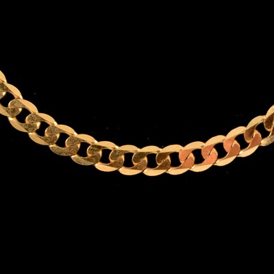 Lot 373 - A 9 carat yellow gold chain link necklace.