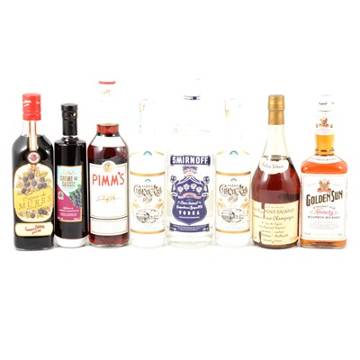 Lot 157 - Eleven assorted spirits and cognac.