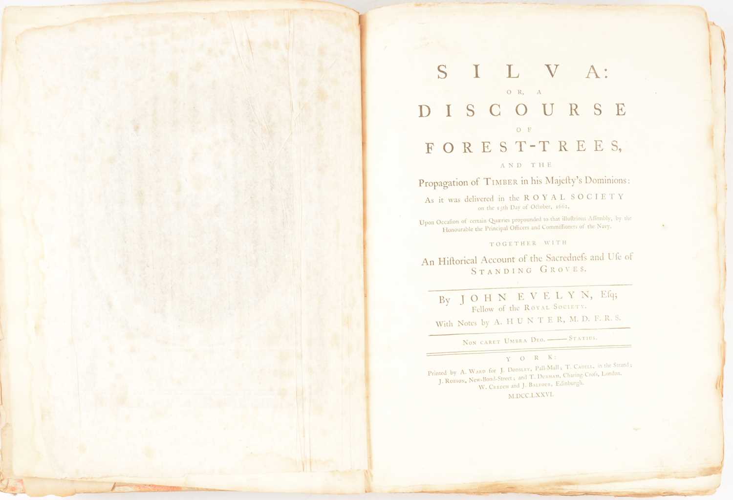 Lot 118 - John Evelyn, Silva or, A Discourse of Forest Trees