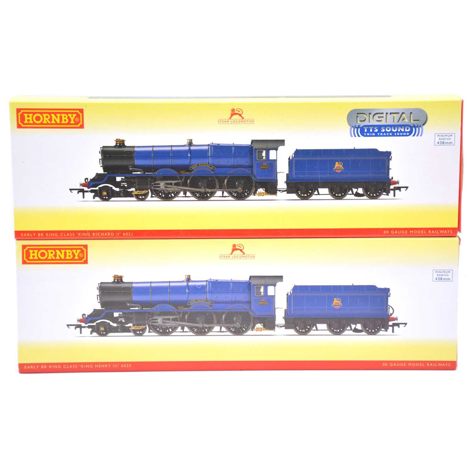 Lot 163 - Two Hornby OO gauge model railway steam locomotives with tenders, DCC fitted, boxed