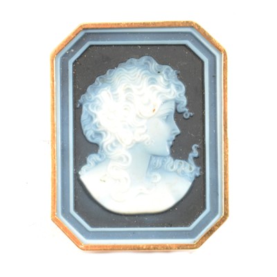 Lot 312 - A hardstone cameo brooch pendant.