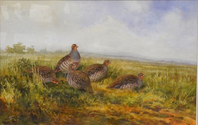 Lot 374 - Neil Cox, partridges.