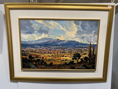 Lot 369 - Dale Elliott, South African valley landscape