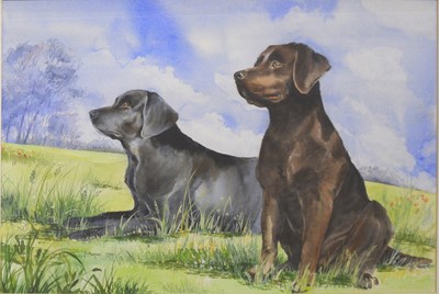 Lot 399 - P Martins, two labradors.