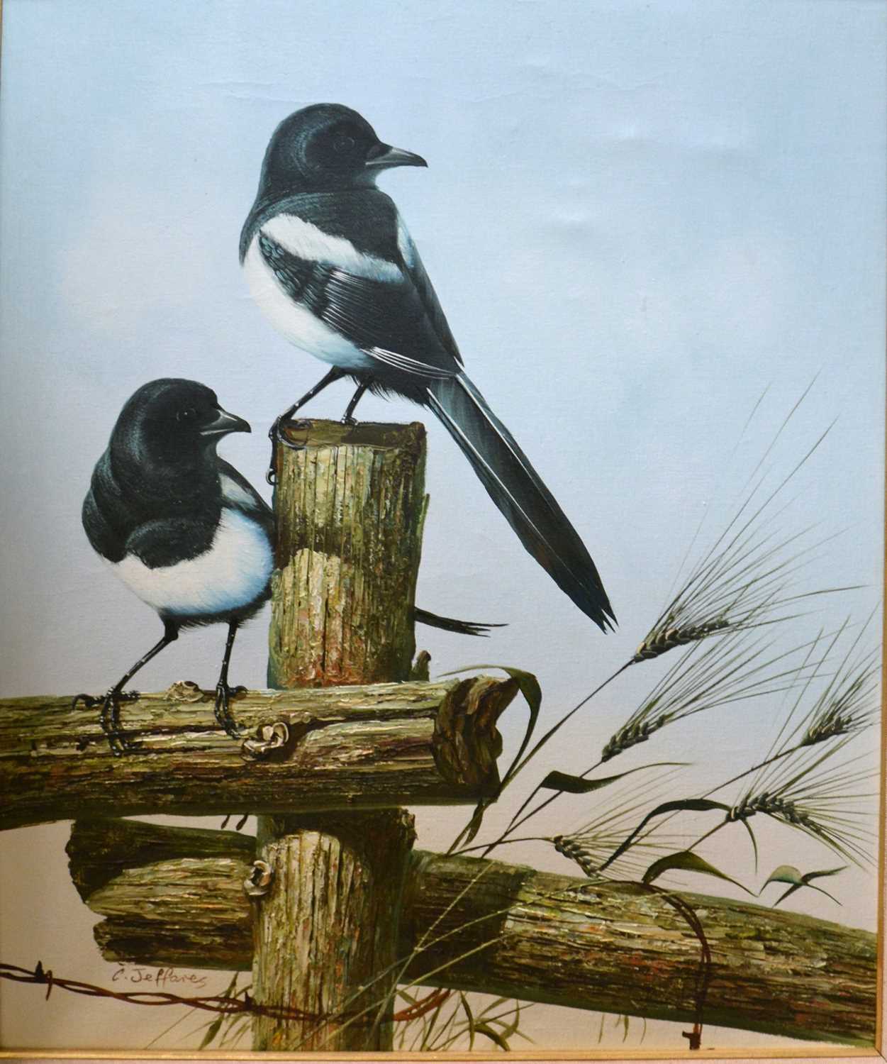 lot-320-c-jeffares-magpies