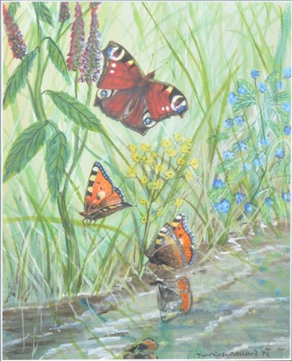 Lot 330 - Denys Watkins-Pitchford, Butterflies