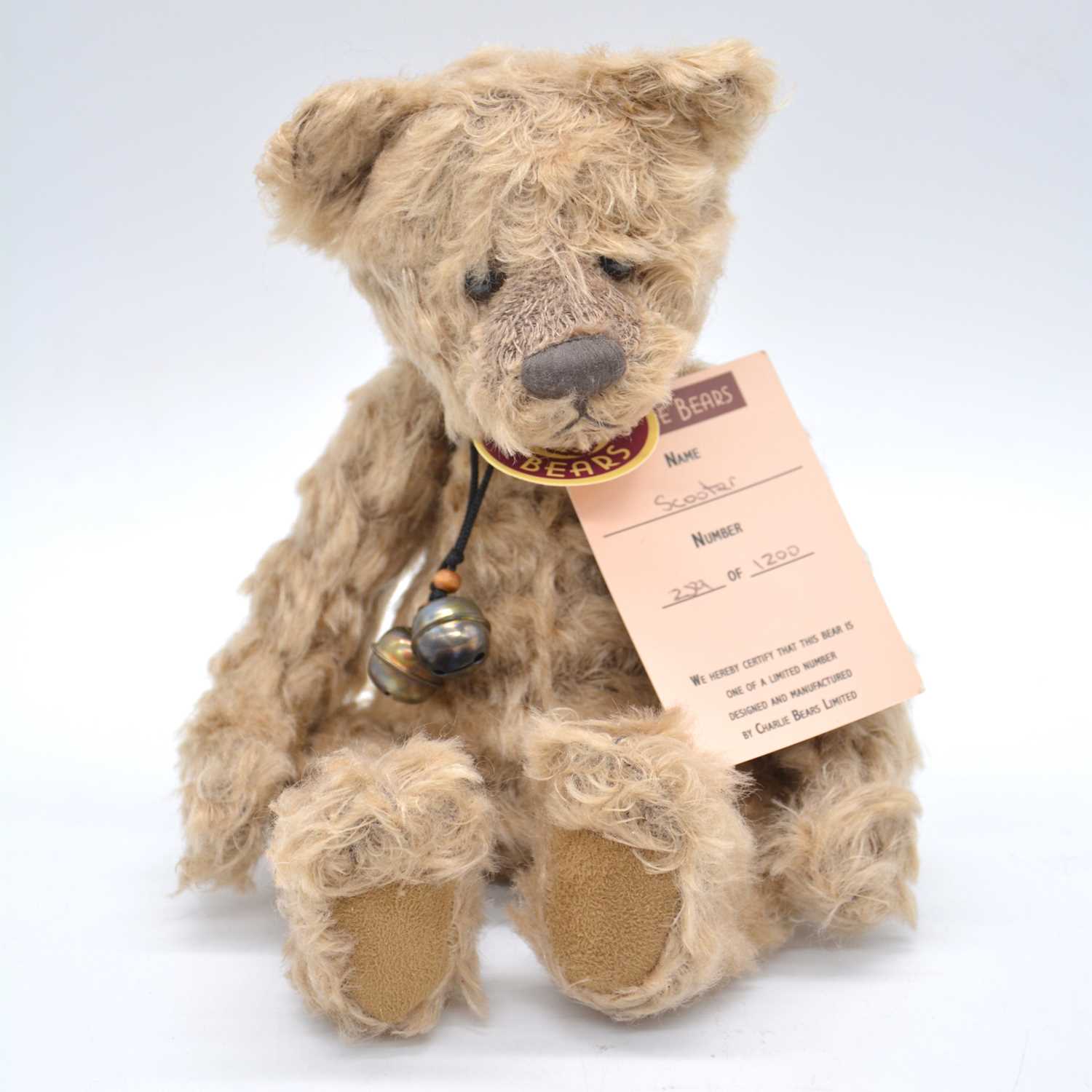 Charlie best sale bear teddy