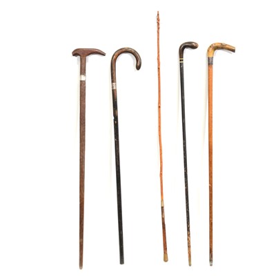 Lot 481 - Collection of walking sticks and canes