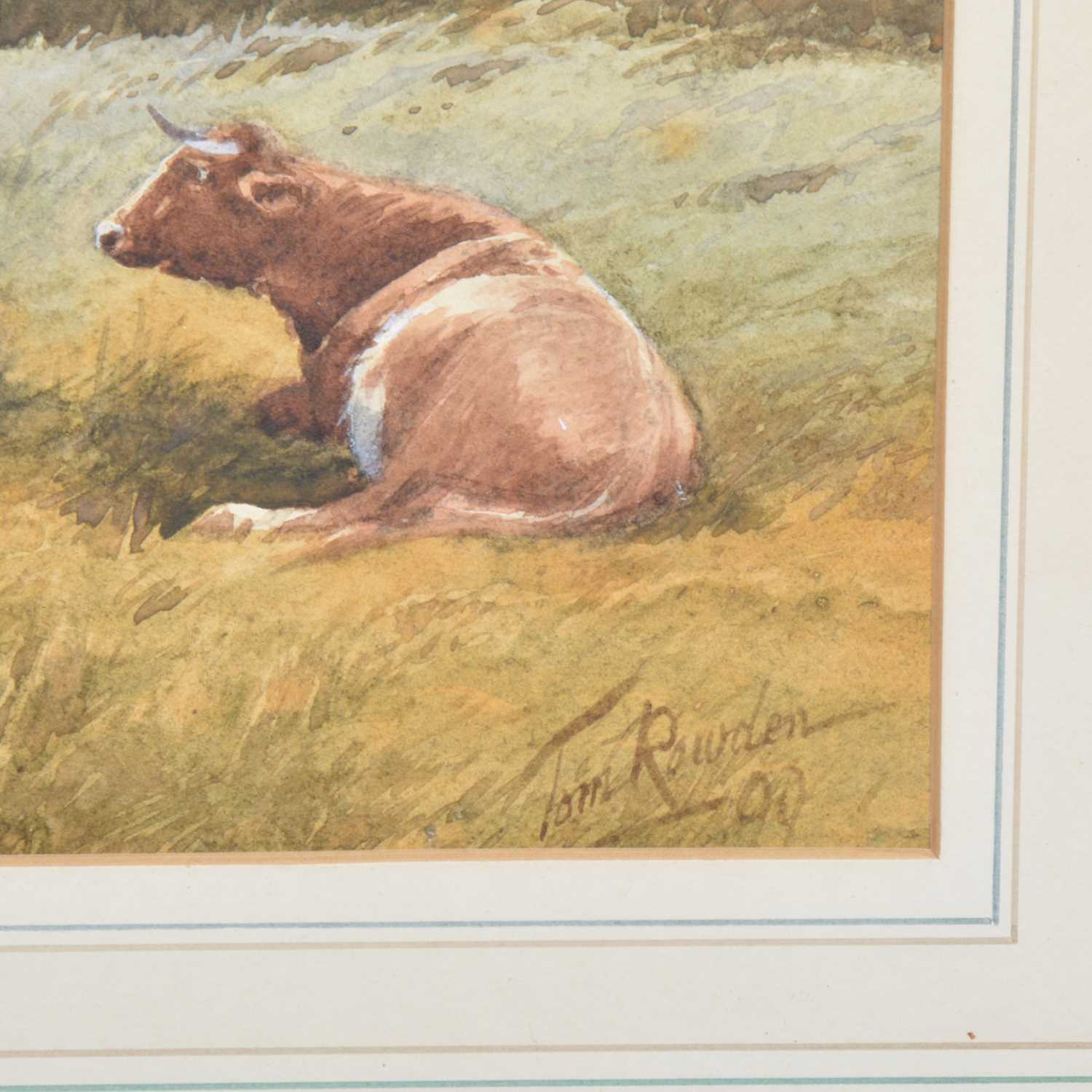 Lot 314 - Tom Rowden, Cattle resting by the coast