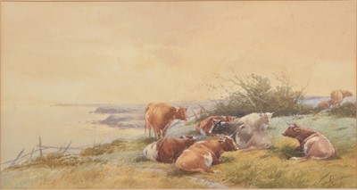 Lot 314 - Tom Rowden, Cattle resting by the coast