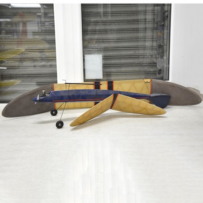 Lot 499 - Blue v-tail model aircraft