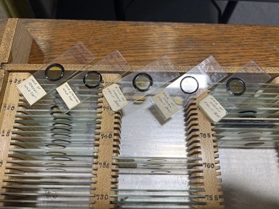 Lot 177 - Early 20th century oak microscope slide cabinet, with a large quantity of slides