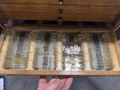 Lot 177 - Early 20th century oak microscope slide cabinet, with a large quantity of slides
